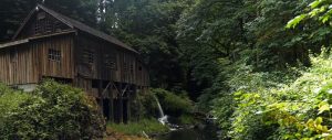 Pacific Northwest Serenity